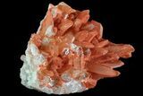 Natural, Red Quartz Crystal Cluster - Morocco #80650-2